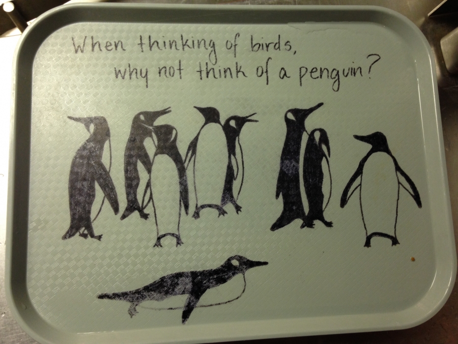 Sharples tray with penguins drawn on it by a student